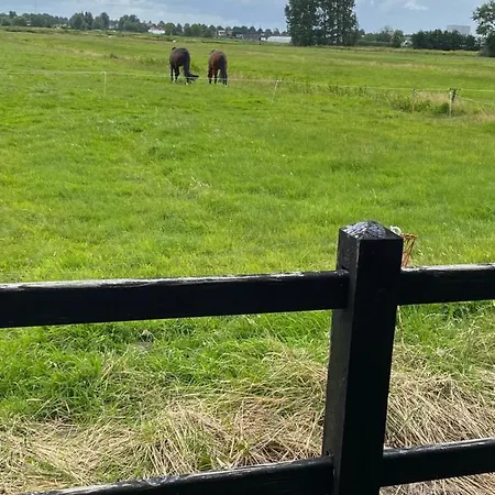 Studio With Beautiful Views And Near Amsterdam 希勒霍姆